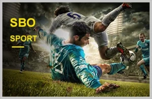 7LARO Sports Betting